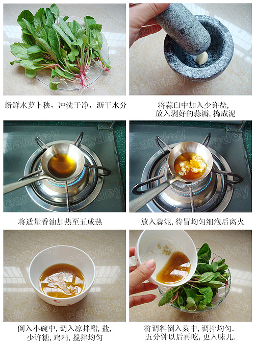 爽口水蘿蔔苗的做法(圖解)-