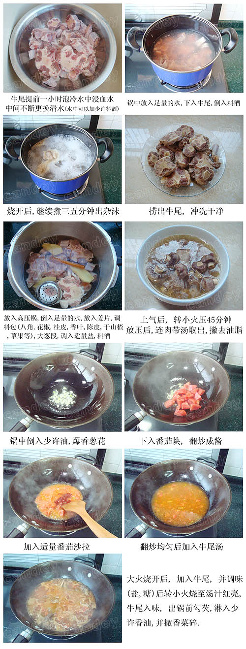 番茄牛尾的做法(圖解)-