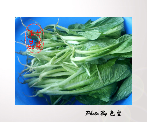 自製蘿蔔泡菜
