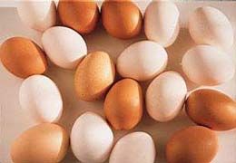減肥:1周減5kg 美味雞蛋瘦身法