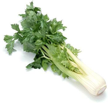 公認最牛的7大美腿果蔬