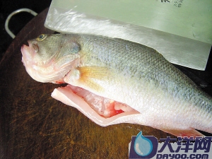 泰式蒸鱸魚的詳細做法(圖解)-