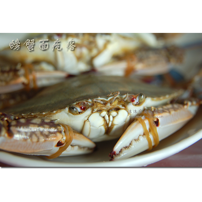 螃蟹面疙瘩的詳細做法(圖解)-