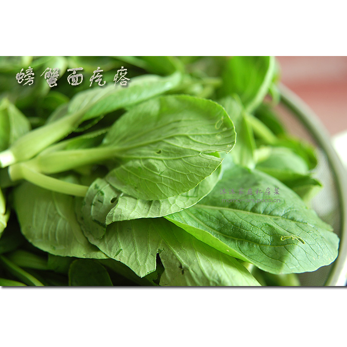 螃蟹面疙瘩的詳細做法(圖解)-