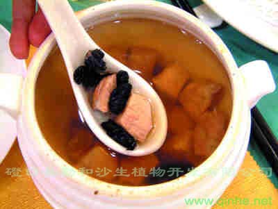 肉蓯蓉海參燉瘦肉-久久菜譜網