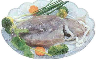 點擊圖片進入下一頁